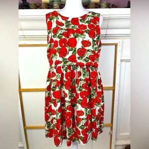 Sunday in Brooklyn Anthropologie Rose print retro chic print dress lined